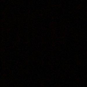 Meet your Posher, Sydnee